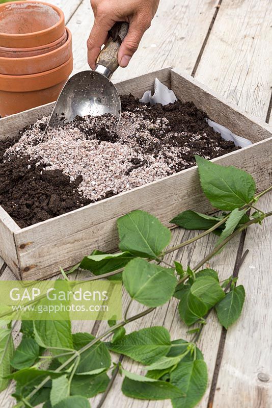 Creating a potting mixture of perlite and compost