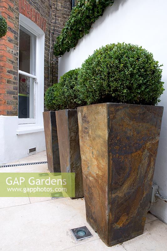 Three identical tall terracotta bronze-glazed containers beside white wall with box ball topiary beside kitchen window. 