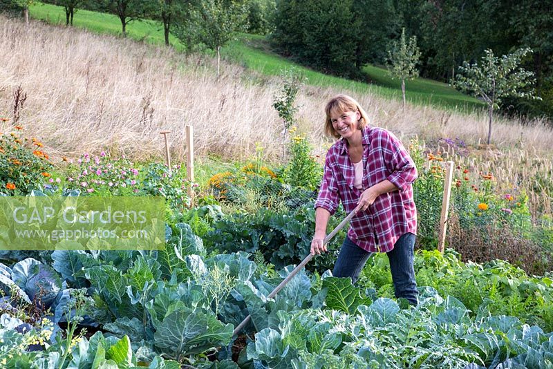 Katrin Schumann working her vegetable acre in the Bavarian Forest. Plants are Broccoli, salads, artichoke, carrots, Tithonia rotundifolia and Zinnia