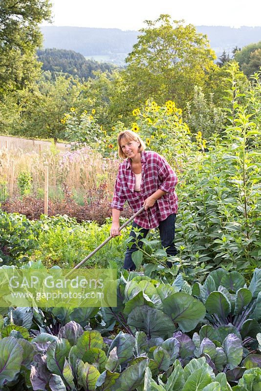 Katrin Schumann working her vegetable acre in the Bavarian Forest. Plants are broccoli, crrots, salads, sunflowers - Helianthus annus