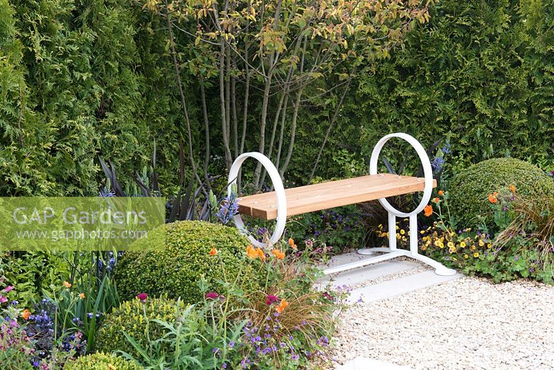Contemporary bench next to a border with ball of Buxus sempervirens, Carex testacea, Phormium 'Platt's Black' - Time is a Healer supporting Primrose Hospice, RHS Malvern Spring Festival 2016