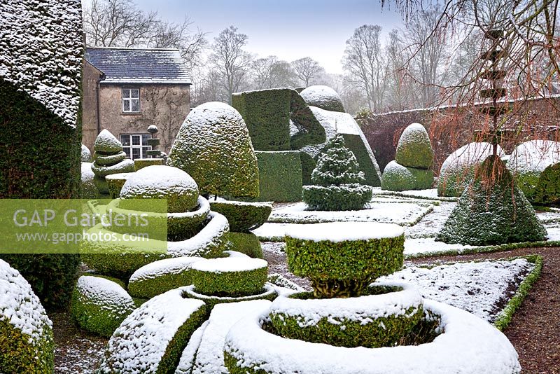 Topiary shapes and characters with a covering of snow at Levens Hall and Garden, Cumbria, UK. 