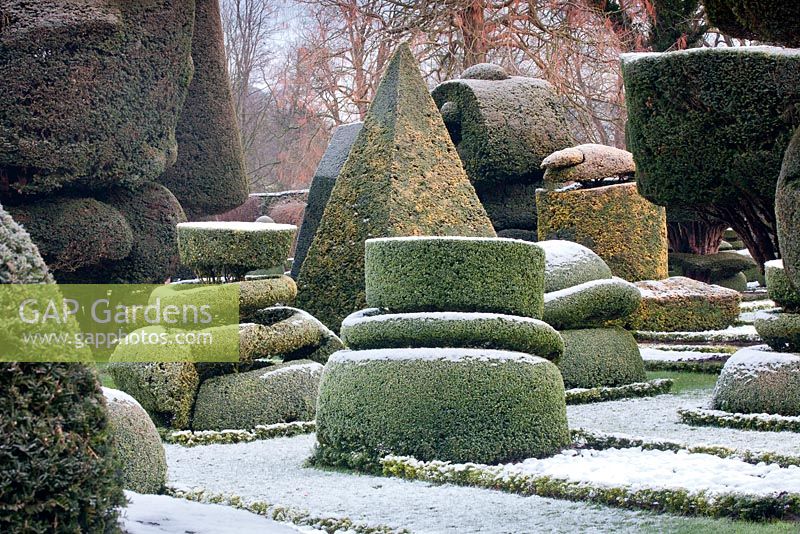 Topiary shapes and characters with a dusting of snow at Levens Hall and Garden, Cumbria, UK. 