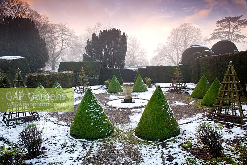 Topiary cones at Levens Hall and Garden, Cumbria, UK