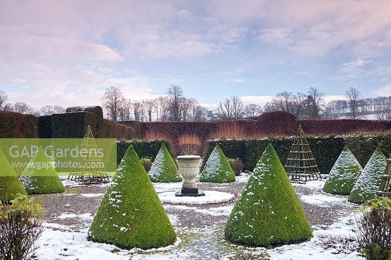 Topiary cones at Levens Hall and Garden, Cumbria, UK. 