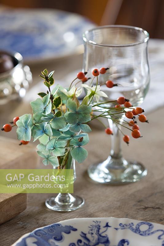 Sherry glass arrangement with all british grown stems - berried holly, ilex aquifolium, sprigs of rosehips and scilly isles scented tazetta narcissi. Common Flower Farm, Somerset
