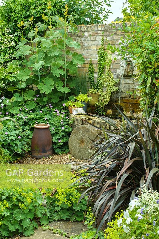 Water spout emptying into small semi circular pond next to wall. Old mill stone and chimney pot. Lush planting with Macleaya cordata, geranium, phormium, alchemilla and ivy