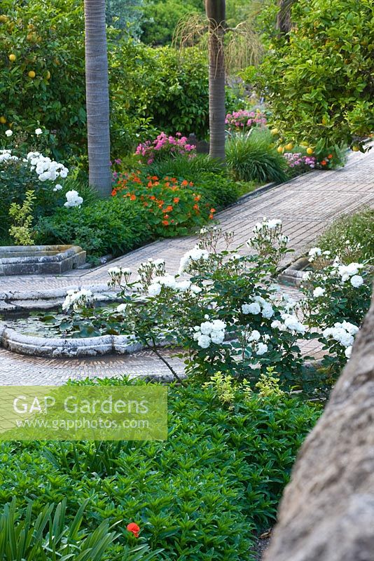 The arabic garden is underplanted with flowers which line the intricate tiled pathways. White Rosa 'Prosperity', pink Rosa 'Deborah' and nasturtiums. San Giuliano Estate. Sicily, Italy