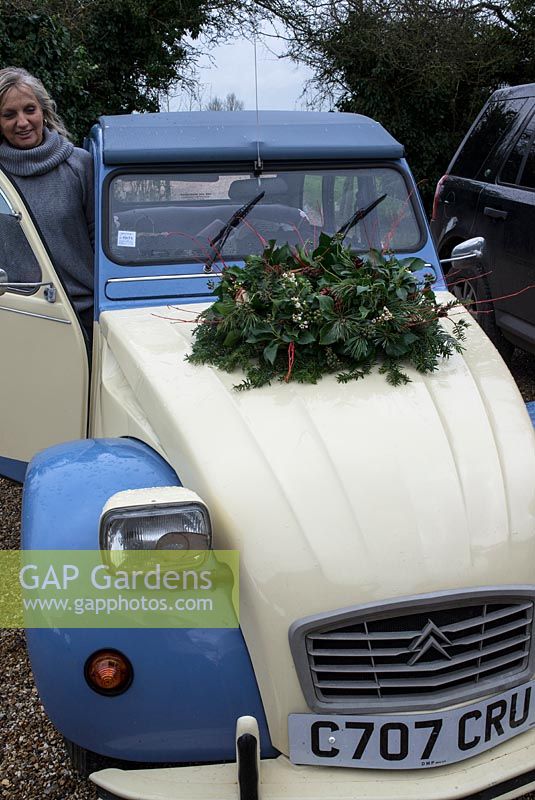 Christmas wreath making workshop. Lady with completed wreath on her vintage Citroen bonnet featuring Hedera - Ivy, red sprayed fir cones, dried apples, Pinus - Christmas tree twigs, red twigs and Cinnamon sticks. December, St Francis Cottage