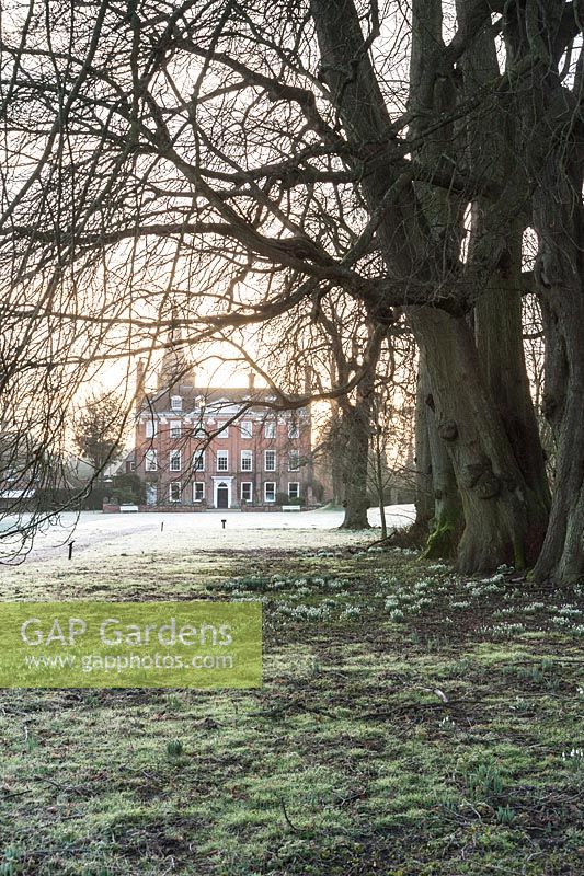 Dawn sunlight rises above the early C18th Queen Anne facade of Welford House illuminating the frosty ground dotted with snowdrops and aconites. Welford Park, Newbury, Berks, UK
