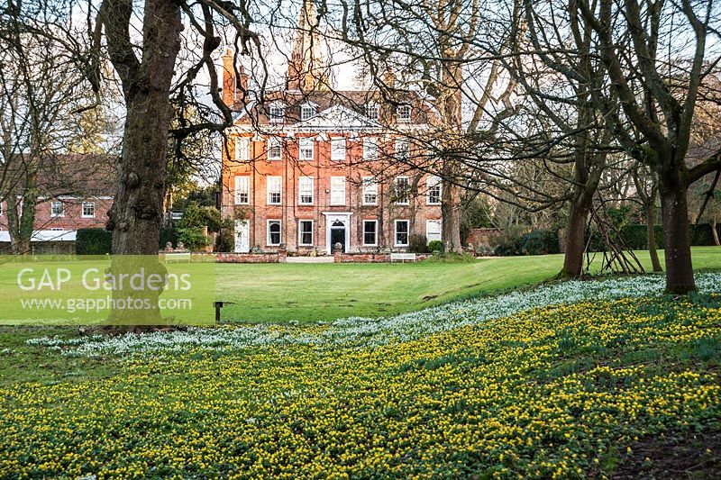 View of the early C18th facade of Welford House, dating from C17th, framed by carpets of yellow aconites and white snowdrops. Welford Park, Newbury, Berks, UK