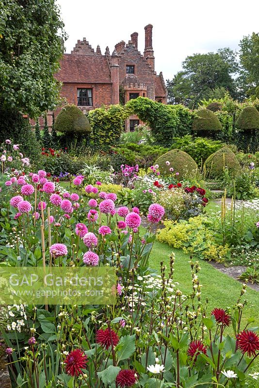 Chenies Manor summer garden. Showing Sunken Garden and House with Dahlia 'Stolze von Berlin' and Dahlia 'Western Pirate' -  Chenies Manor Gardens, Bucks, UK