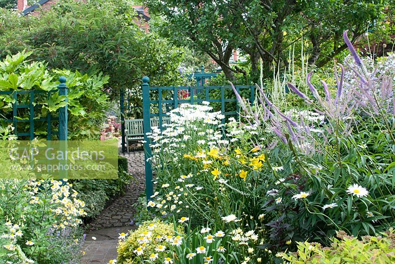 Borders with Spirea japonica 'Goldflame', Veronicastrum 'Fascination', Anthemis tinctoria 'E.C. Buxton', Veronica Alba, Euonymus fortunei 'Emerald 'n' Gold', Leucanthemum superbum 'Wirral Supreme', Hemerocallis 'Lemon Bells', Fatsia japonica at Southlands, July 