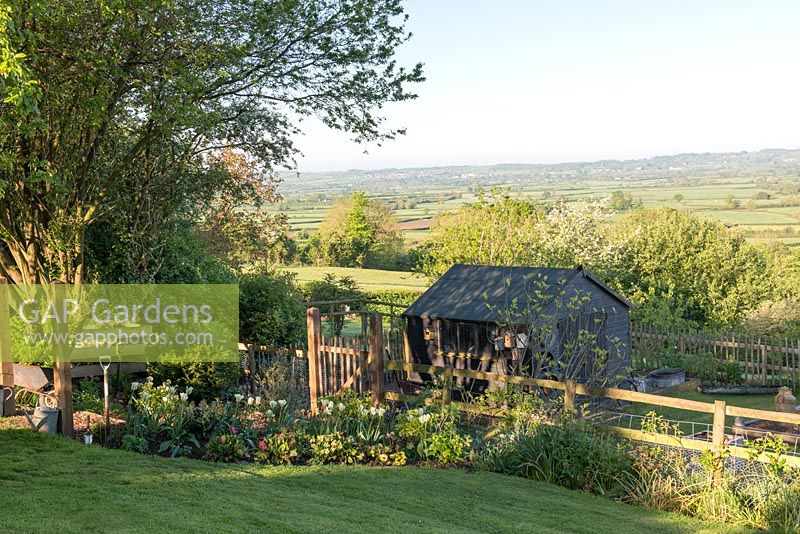 View across vegetable garden with shed, looking towards the Blackmore Vale