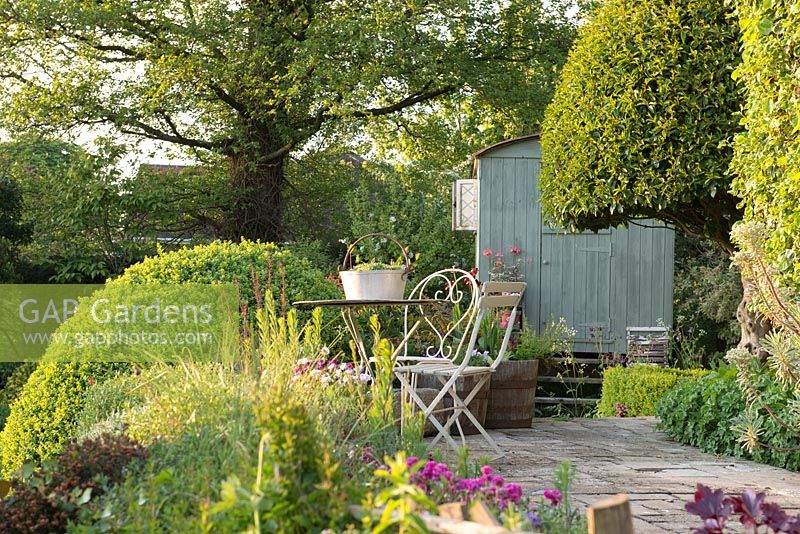 Patio area with metal bistro set, Shepherd's Hut in background and clipped Prunus lusitanica and Buxus sempervirens, Alnus glutinosa - Alder in background