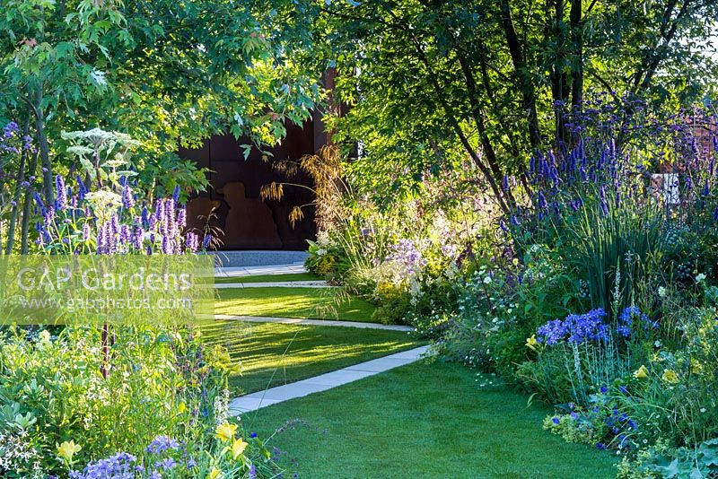 Dogs Trust - A Dog's Life Garden, view of lawn with zig-zag paved pathway, framed by naturalistic planting.  IncludingAgastache 'Blue Fortune', Angelica archangelica, yellow day lilies - Hemerocallis, Perovskia, Stip gigantea, campanulas, Verbena bonariensis, geraniums, and Alchemilla mollis  