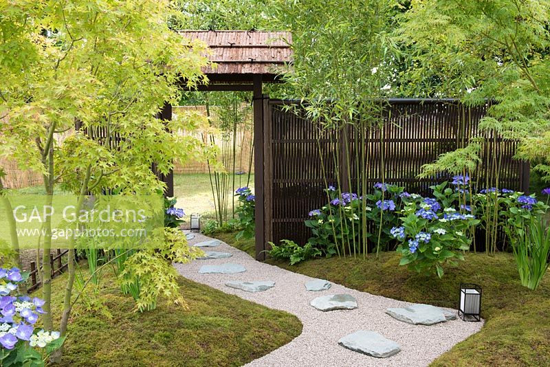 Path leading between moss lawn with Acer palmatum, Hydrangea macrophylla 'Blaumeise' and Phyllostachys - Japanese Summer Garden, RHS Hampton Court Palace Flower Show 2016
