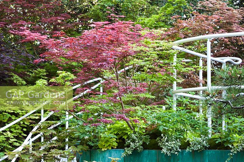 Garage with green roof. Senri-Sentei - Garage Garden. RHS Chelsea Flower Show 2016, Designer: Kazyuki Ishihara, Sponsor: Senri-Sentei Project