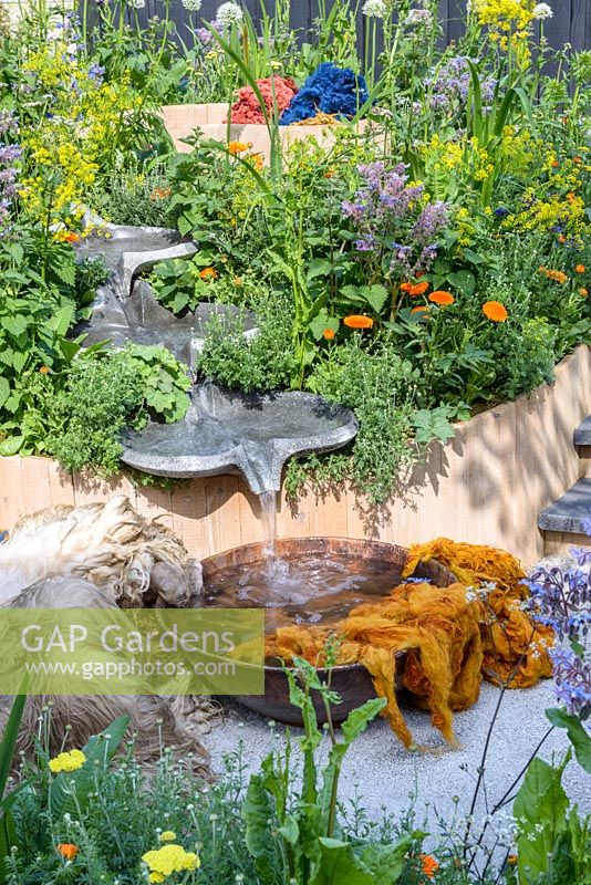 The AkzoNobel Honeysuckle Blue Garden with plants used as dye, including Isatis tinctoria, Utrica doica, Calendula officinalis and Borago officinalis. The RHS Chelsea Flower Show 2016. Designer: Claudy Jongstra in collaboration with Stefan Jaspers. Sponsor: AkzoNobel. SILVER-GILT