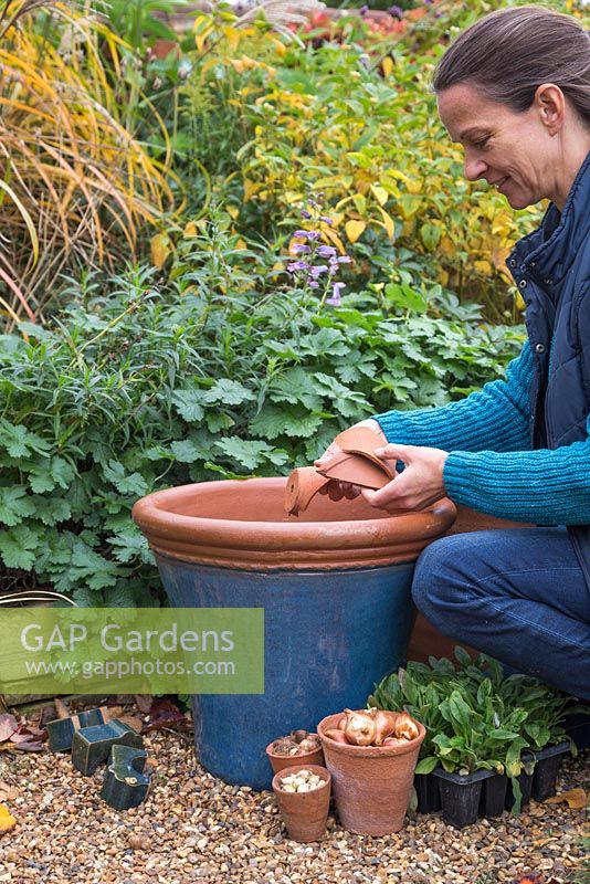 Adding crocks to the pots to assist with drainage