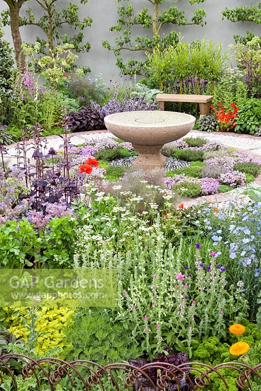 Herb garden with central bird bath. Calendula officinalis, Linum perenne, Salvia officinalis 'Greek', Atriplex hortensis var. Rubra. The St John's Hospice, A Modern Apothecary, Design Jekka McVicar. RHS Chelsea Flower Show 2016