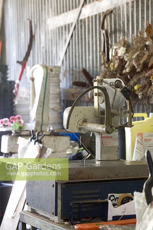 Inside a garden shed at an Australian wildflower farm, shows cutting and weighing machine