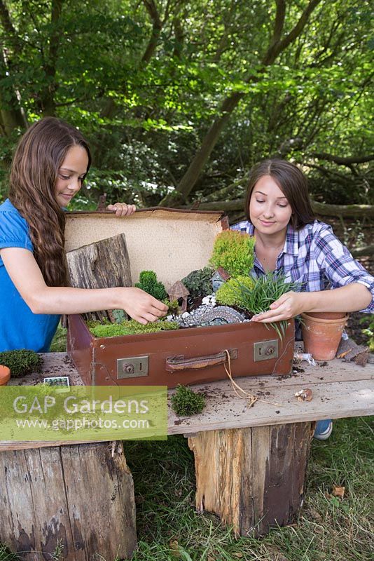 Place the moss in position to represent grass. Ensure the moss has contact with the compost so it doesn't die