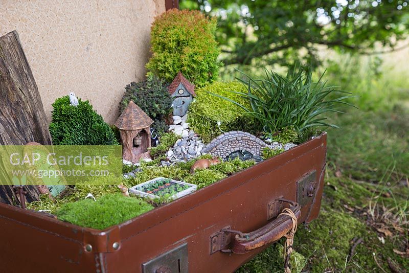 A miniature garden scene in a vintage suitcase made with Moss, decorative pebbles, seashells, animal and structure figurines, tree bark, small Conifers and LED lighting