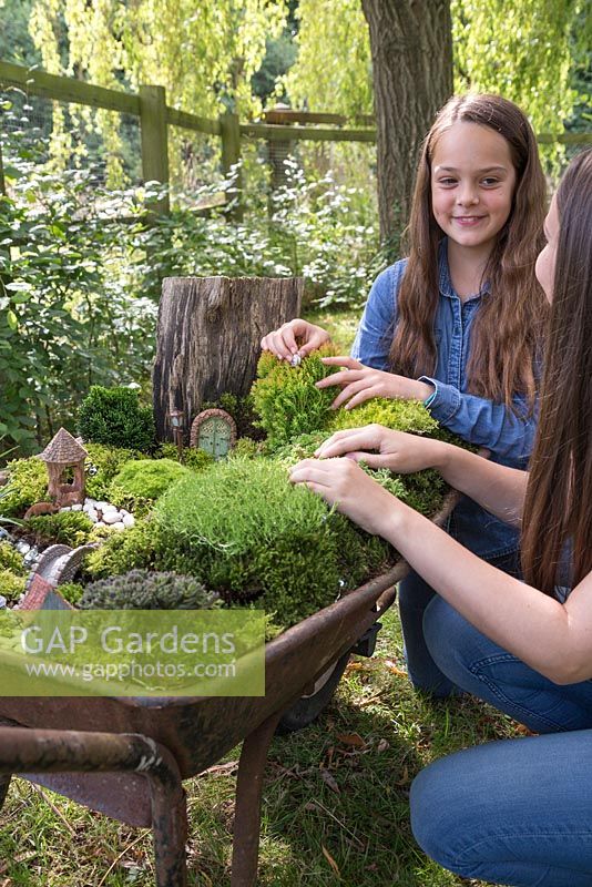 Miniature Wheelbarrow Garden. Two young girls building a miniature garden inside a wheelbarrow