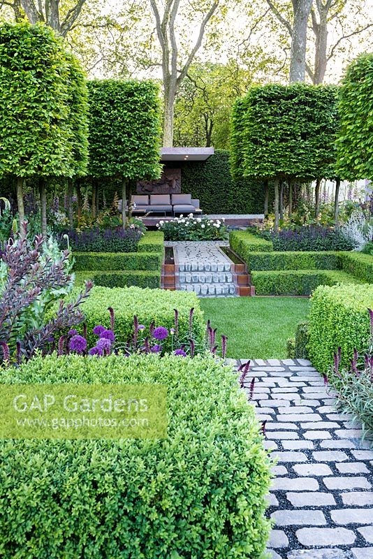The Husqvarna Garden, view of bluestone cobbles steps and path in centre of formal garden leading to modern patio and surrounded by Buxus hedge topiary, a flowerbed with purple flowers: Lysimachia atropurpurea 'Beaujolais', Allium hollandicum 'Purple Sensation' and Carpinus pleached floating cubes. RHS Chelsea Flower Show 2016, Designer: Charlie Albone, Sponsors: Husqvarna