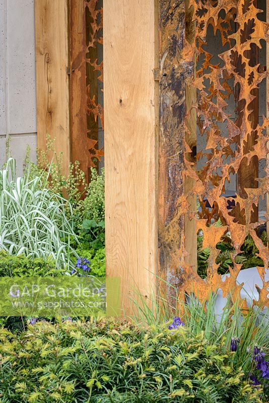 Detail of the oak pavilion with rusty oak-leaf pattern The  Morgan Stanley Garden For Great Ormond Street Hospital. The RHS Chelsea Flower Show 2016 