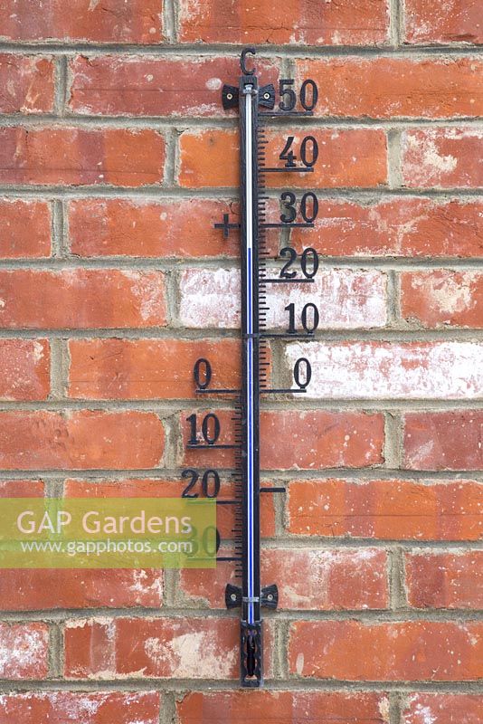 A garden thermometer attached to a red brick wall
