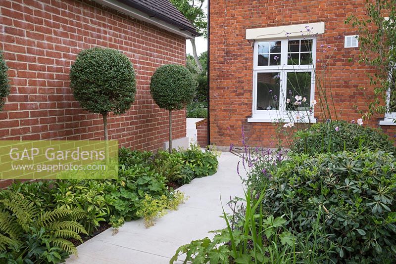 View towards house with sandstone path leading past Buxus lollipops and herbaceous borders