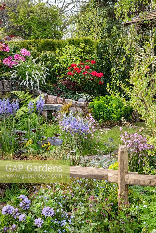 Mixed planting with Camassia esculenta 'Quamash', Geraium 'Samobor' and Lychnis flos cuculi 'Terry's Pink'. The Water Spout Garden, RHS Malvern Spring Festival 2016. Best Festival Garden. Silver Gilt. Design: Christian Dowle