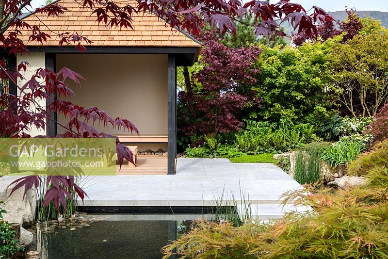 A view of a garden pavilion through Acer palmatum 'Bloodgood' branches, A Japanese Reflection, RHS Malvern Spring Festival 2016. Design: Peter Dowle and Richard Jasper, Howle Hill Nursery