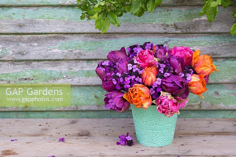 Teal vase containing Erysimum 'Bowles Mauve', Tulipa 'Orange Princess', 'Purple Peony' and 'Chato'