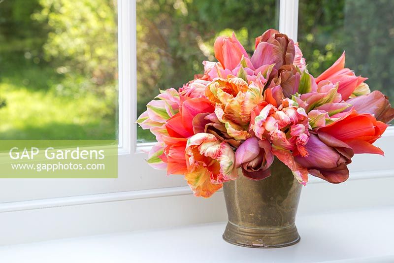 Bunch of Tulipa 'Malaika', 'Temple of Beauty', 'Floriosa' and 'Apricot Parrot' in a brass bucket on a windowsill