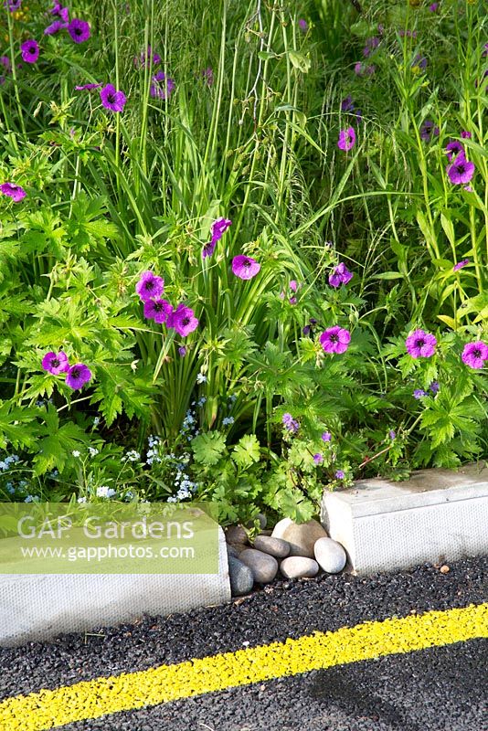 Kerb-side planting with stones filling a gap for drainage