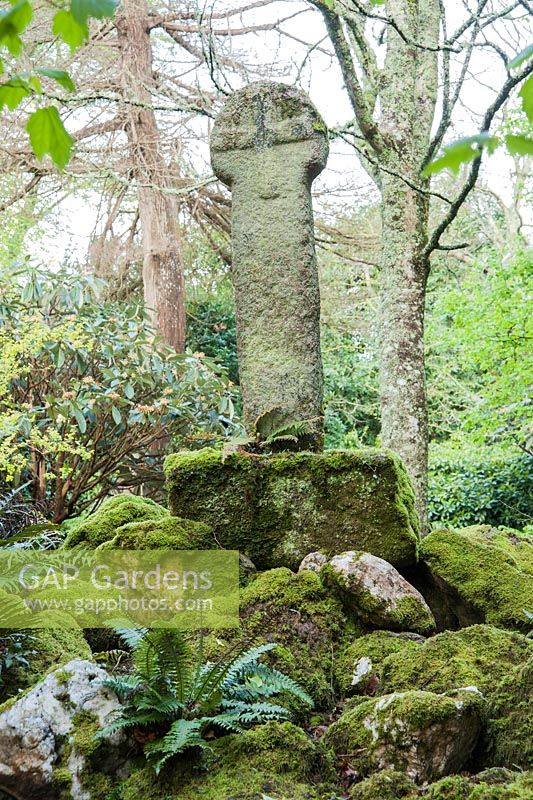 Cornish cross. Enys Garden, St Gluvias, Penryn, Cornwall, UK