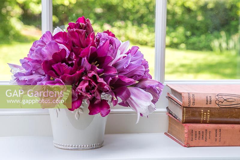 Container with Tulipa 'Blue Parrot', 'Victoria's Secret' and 'Ballade'