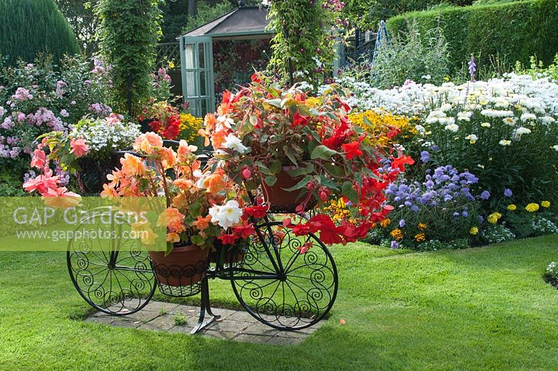 Decorative bicycle holding pots with Begonia and Lobelia on lawn, summer house and colourful mixed bed filled with perennials and tender bedding plants. 