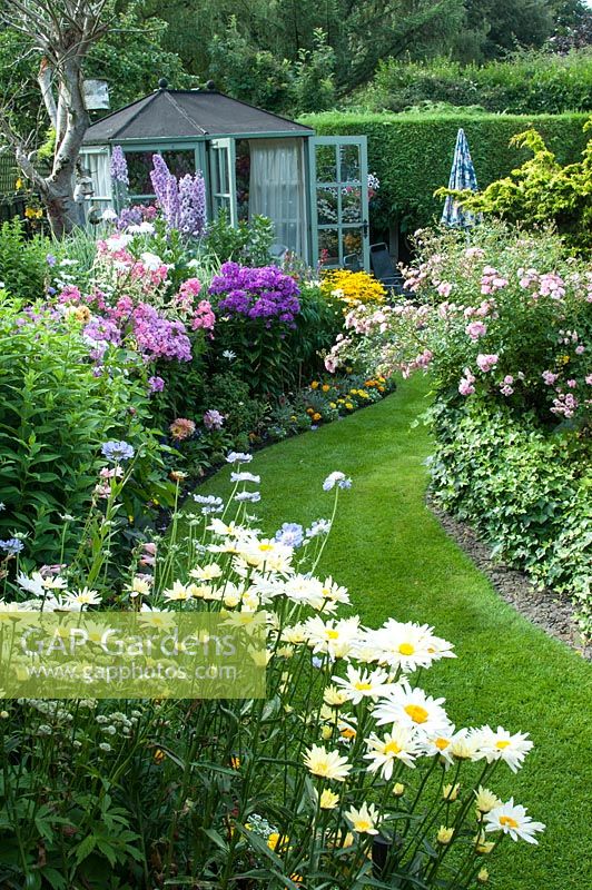 Colourful back garden with mixed borders filled with tender bedding plants, shrubs and perennials including Leucanthemum x superbum 'Broadway Lights', Scabiosa caucasica 'Goldingensis', Rosa 'The Fairy', Delphinium 'Sweet Sensation', Phlox 'Elizabeth' 