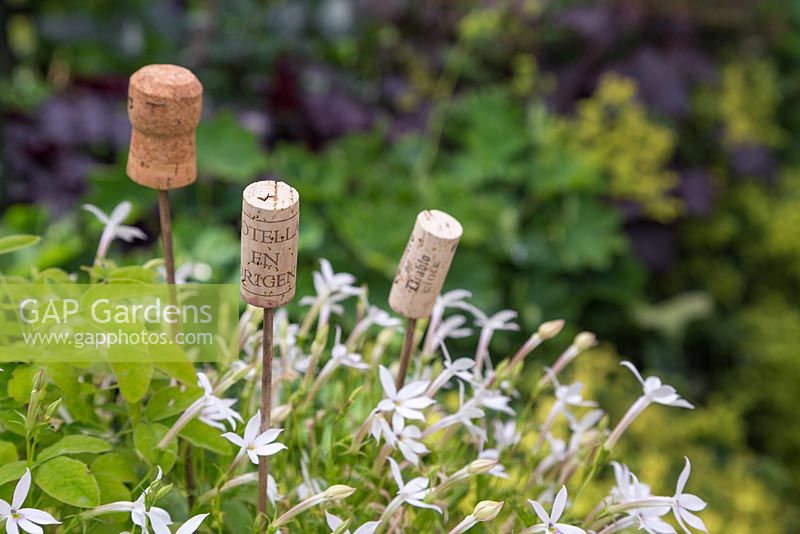 Wine corks used as cane toppers