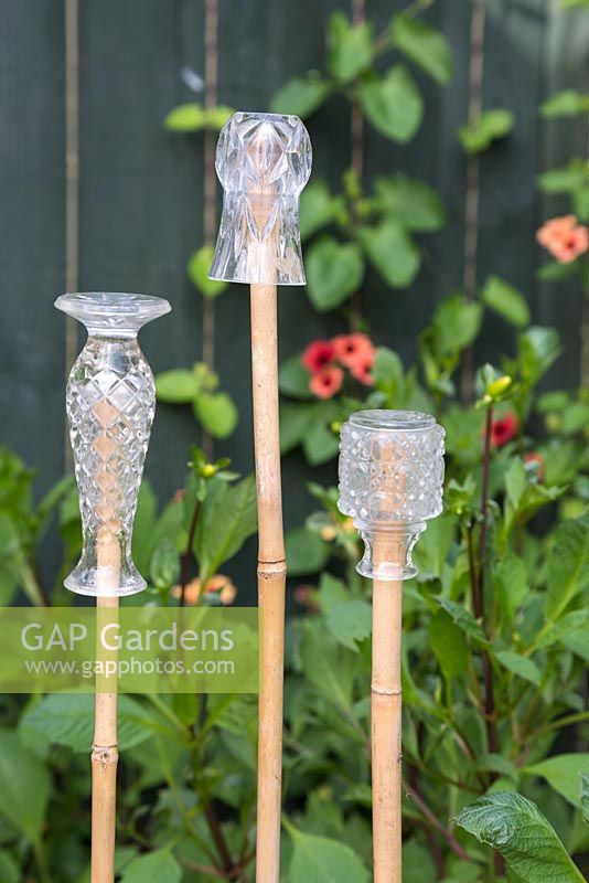 Glass vases used as cane toppers