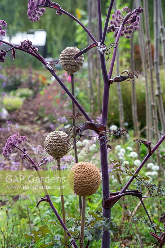 Old tennis balls wrapped in string used as cane toppers
