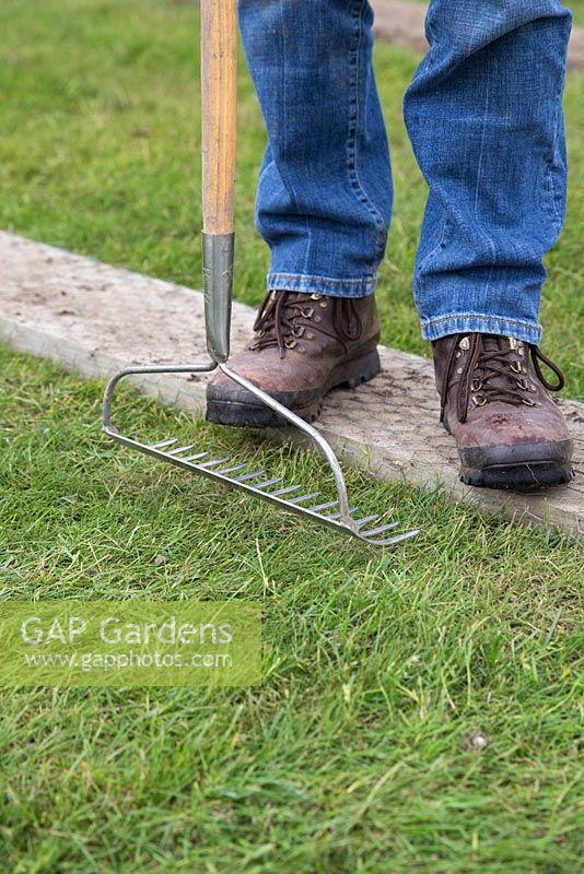 Using a garden rake to firm down new turf