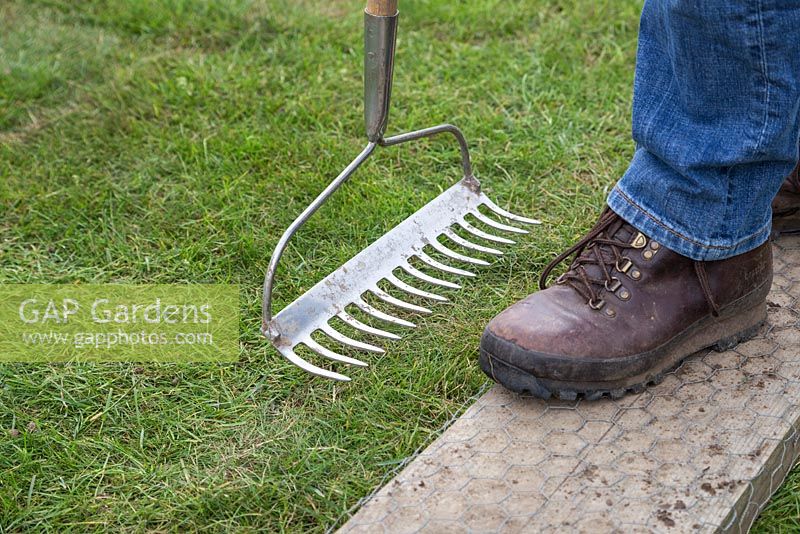 Using a garden rake to firm down new turf