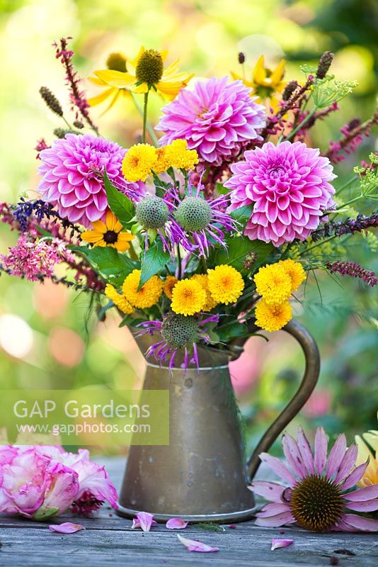 Jug of perennials: Echinacea purpurea, Helianthus, Persicaria amplexicaurus, Monarda, Chrysanthemum Yellow Button Pompon, dahlias