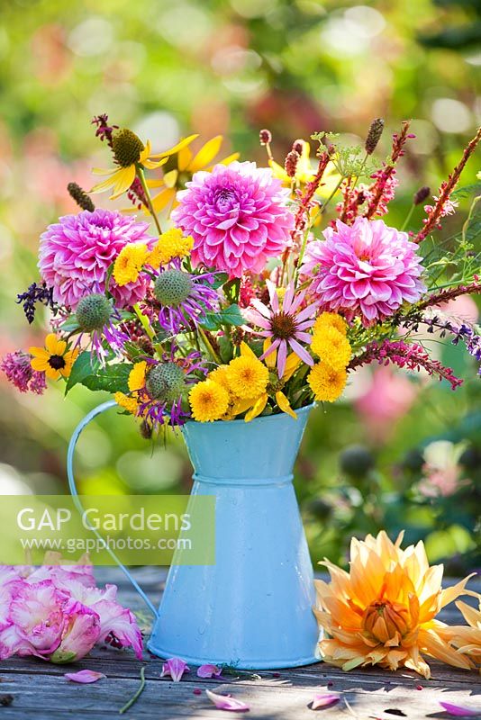 Jug of perennials: Echinacea purpurea, Helianthus, Persicaria amplexicaurus, Monarda, Chrysanthemum Yellow Button Pompon, dahlias.