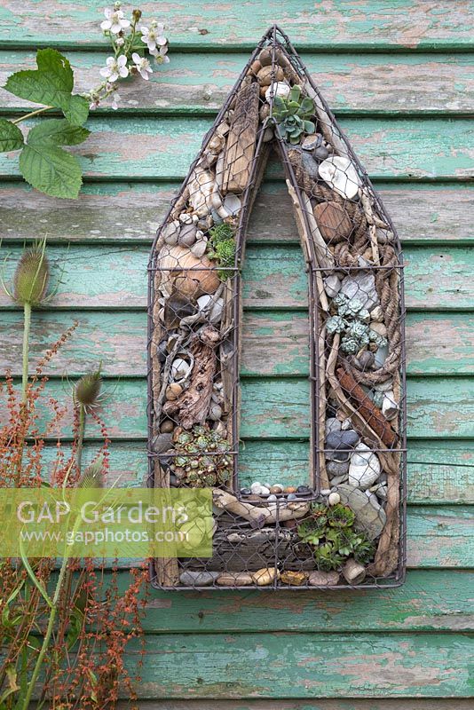 A Seaside themed wire frame hanging on a shed. Planted with Succulents, shells, drift wood, stones and nautical items